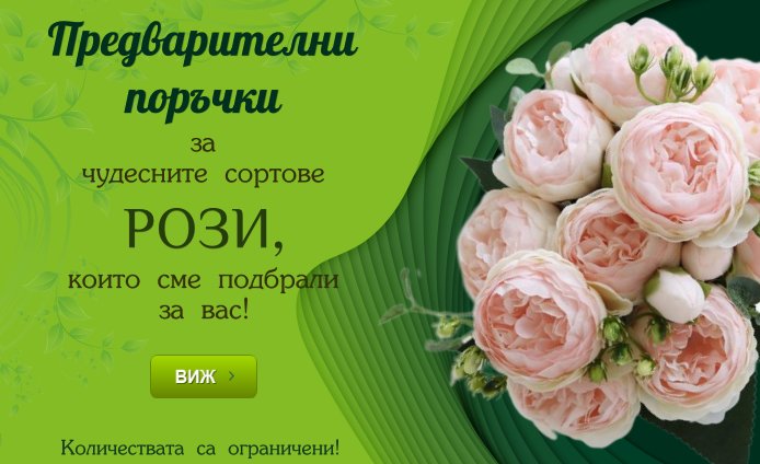 lukovici.bg | луковици и цветя на ниски цени! page dashboard irisi